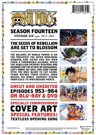 One Piece season 14 Voyage 6 [2xBlu-Ray]+[2xDVD]