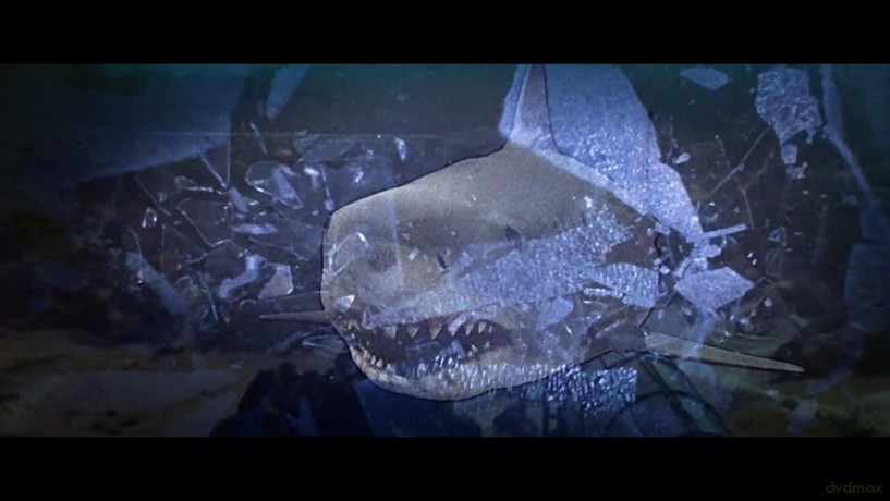 Sharksploitation [Blu-Ray]