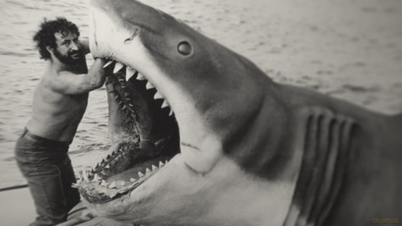 Sharksploitation [Blu-Ray]