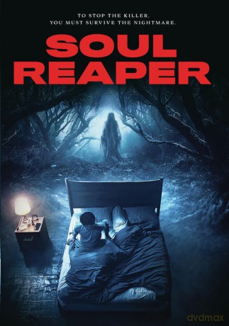 Soul Reaper [DVD]