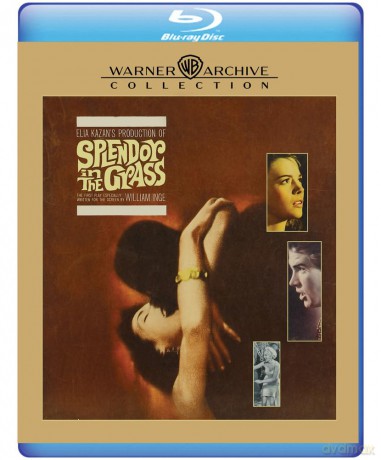 Splendor In the Grass (Wiosenna bujność traw) [Blu-Ray]
