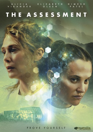 The Assessment [DVD]