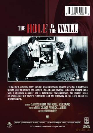 The Hole in the Wall [DVD]