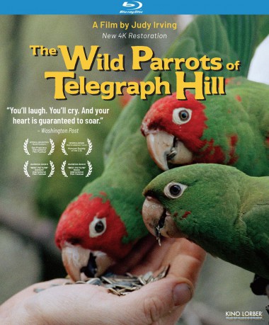 The Wild Parrots of Telegraph Hill [Blu-Ray]