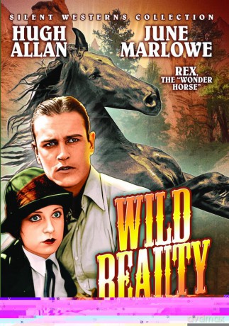 Wild Beauty [DVD]