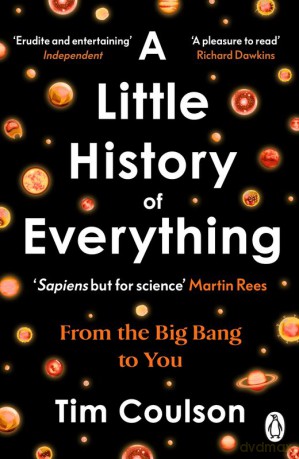 A Little History of Everything wer. angielska - Tim Coulson [KSIĄŻKA]
