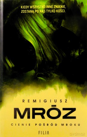 Cienie pośród mroku wyd. kieszonkowe - Remigiusz Mróz [KSIĄŻKA]