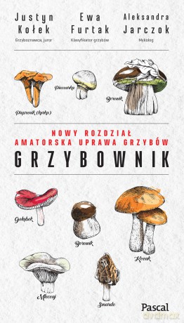 Grzybownik - Justyn Kołek, Ewa Furtak, Aleksandra Jarczok [KSIĄŻKA]