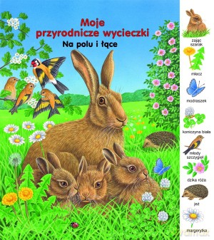 Na polu i łące. Moje przyrodnicze wycieczki - Gisela Fischer [KSIĄŻKA]