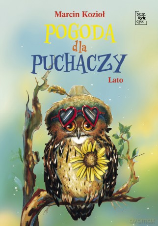 Pogoda dla puchaczy. Lato - Marcin Kozioł [KSIĄŻKA]