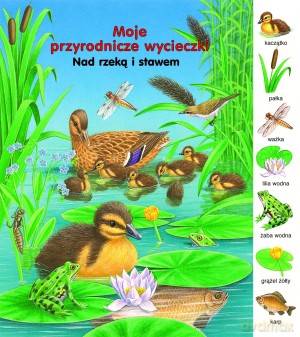 Nad rzeką i stawem. Moje przyrodnicze wycieczki - Gisela Fischer [KSIĄŻKA]