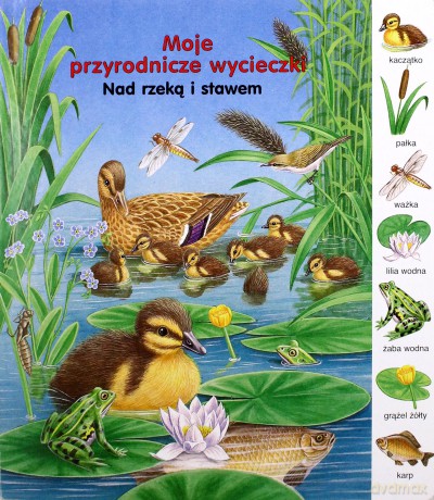 Nad rzeką i stawem. Moje przyrodnicze wycieczki - Gisela Fischer [KSIĄŻKA]