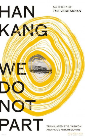 We do not party wer. angielska - Han Kang [KSIĄŻKA]