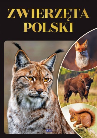 Zwierzęta Polski [KSIĄŻKA]