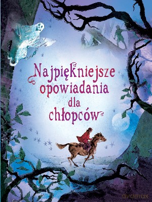 Najpiękniejsze opowiadania dla chłopców [KSIĄŻKA]