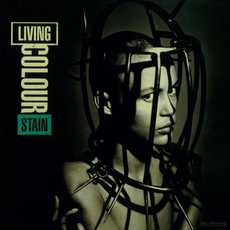 Living Colour: Stain [Winyl]