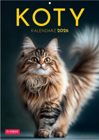 Kalendarz 2026 A4 Wieloplanszowy Koty [KALENDARZ]