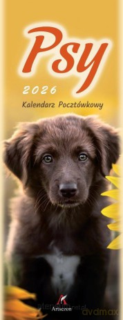 Kalendarz 2026 pocztówkowy 12,5x33 cm Psy [KALENDARZ]