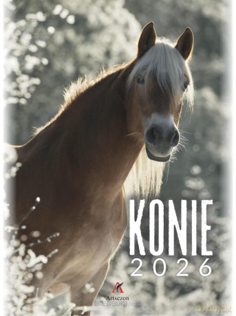 Kalendarz 2026 wieloplanszowy B4 Konie [KALENDARZ]