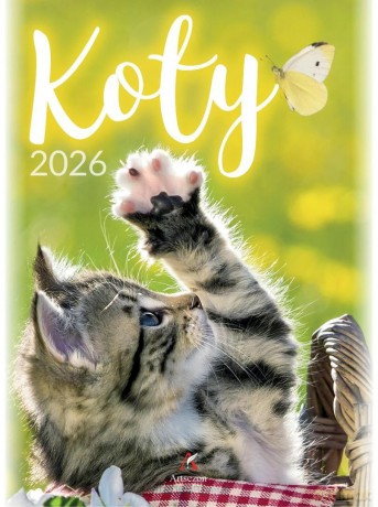 Kalendarz 2026 wieloplanszowy B4 Koty [KALENDARZ]
