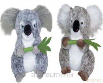 Koala 20 cm MIX