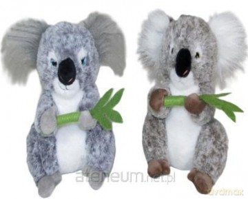 Koala 25 cm MIX