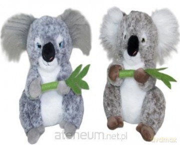 Koala 30 cm MIX