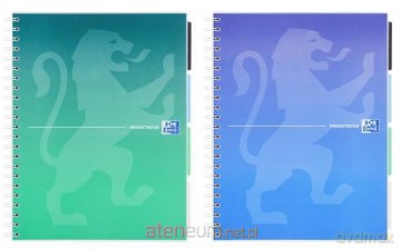 Kołozeszyt B5/80K Projectbook mix (5szt)