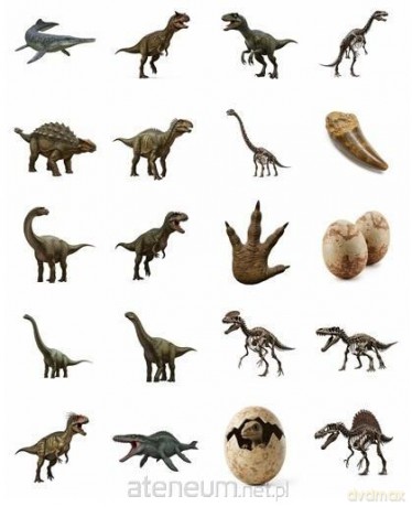 Naklejki Motywacyjne dinozaury 25mm