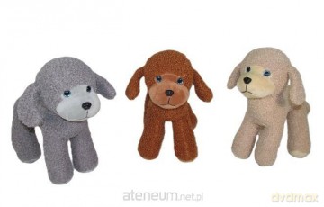 Pudel 25 cm MIX