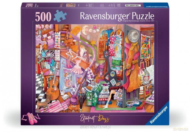 Puzzle 2D: Artystyczny nieład 500el [PUZZLE]