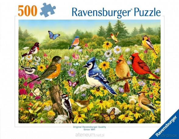 Puzzle 2D: Ptaki 500el [PUZZLE]