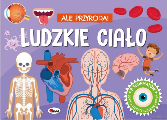 Ludzkie ciało. Ale przygoda - Elżbieta Korolkiewicz [KSIĄŻKA]