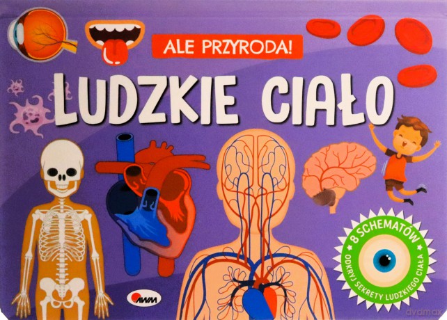 Ludzkie ciało. Ale przygoda - Elżbieta Korolkiewicz [KSIĄŻKA]