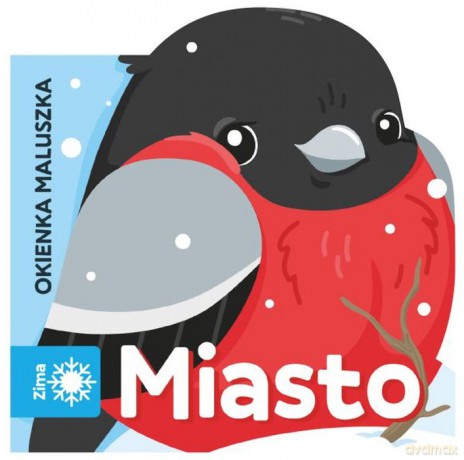 Miasto. Okienka maluszka [KSIĄŻKA]