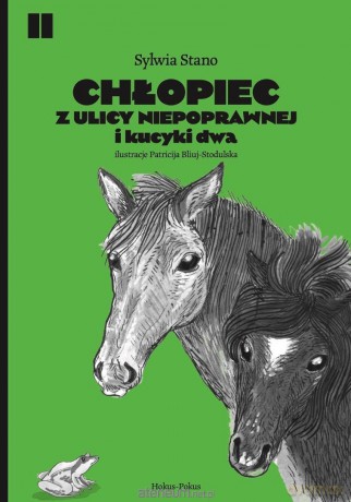 Chłopiec z ulicy Niepoprawnej i kucyki dwa - Sylwia Stano [KSIĄŻKA]