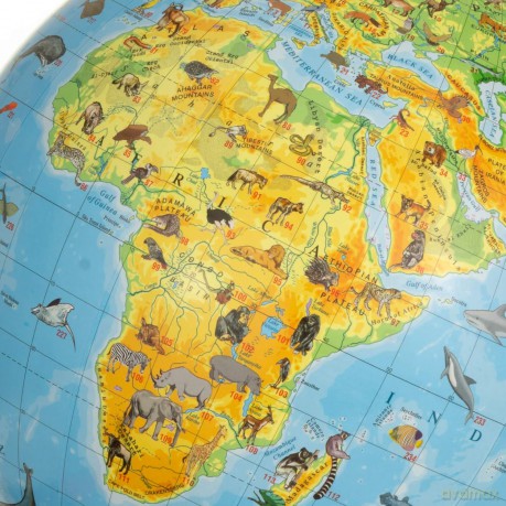 Globus zoolog. podświetl. Multi Globe AR 22cm GB