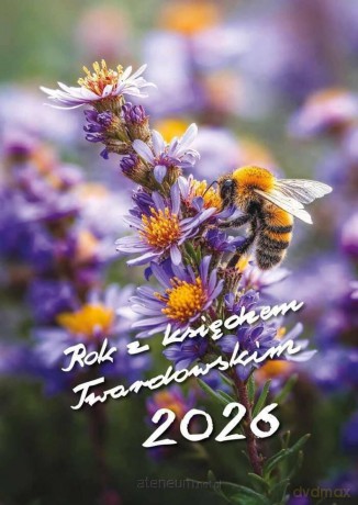 Kalendarz 2026 z księdzem Twardowskim - Pszczoła [KALENDARZ]