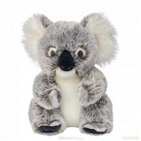 Koala australijski 25cm
