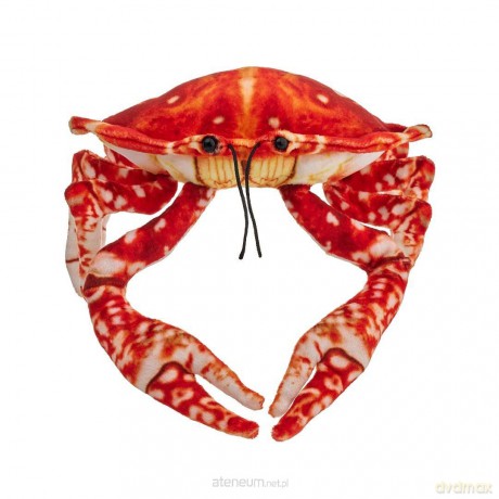 Krab pomarańczowy 26cm