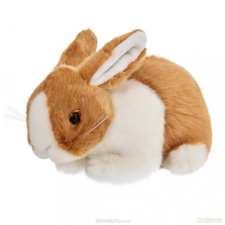 Króliczek brązowo-biały 18cm