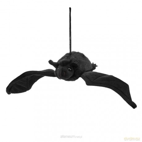 Nietoperz wiszacy 50cm