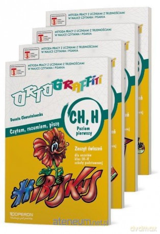 Ortograffiti SP 4-5 Poziom 1 - Danuta Chwastniewska [KSIĄŻKA]