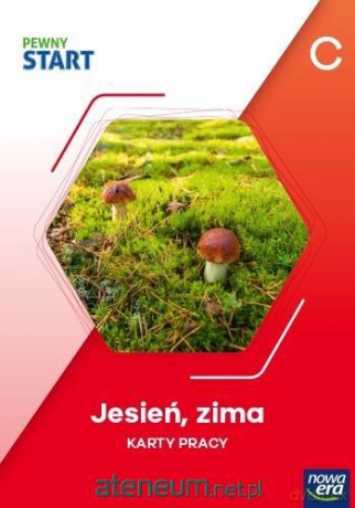 Pewny start. Poziom C. Jesień, zima pracy [KSIĄŻKA]