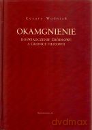 Okamgnienie. Doświadczenie źródłowe a granice filozofii - Cezary Woźniak [KSIĄŻKA]