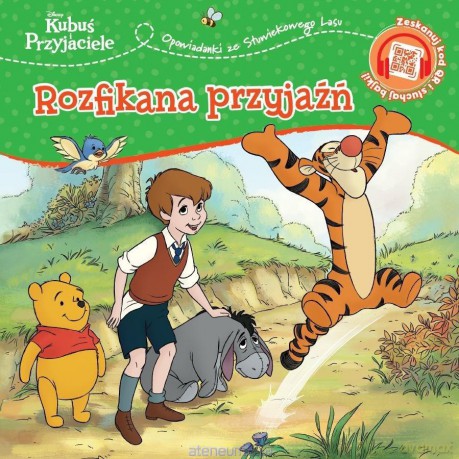 Rozfikana przyjaźń - Thea Feldman [KSIĄŻKA]