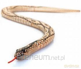 Wąż dewniany MIX [KSIĄŻKA]