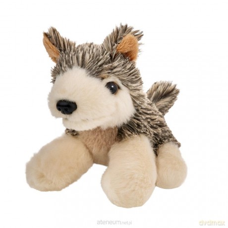 Wilk 13cm