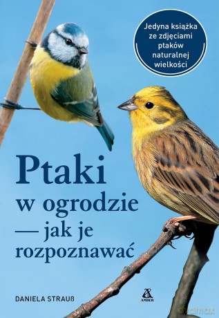 Ptaki w ogrodzie - jak je rozpoznawać - Daniela Strauss [KSIĄŻKA]