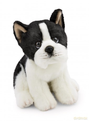 NICI przytulanka Terier Bostoński 20cm
